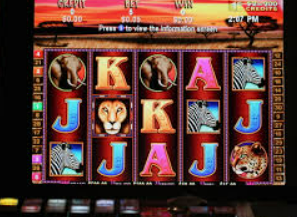 问鼎wd28娱乐2024最新版